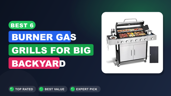 Best 6 Burner Gas Grills for Big Backyard Feasts