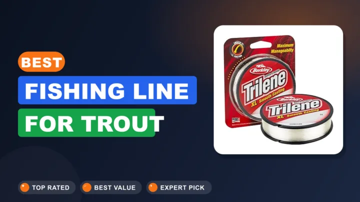 Best Fishing Line for Trout