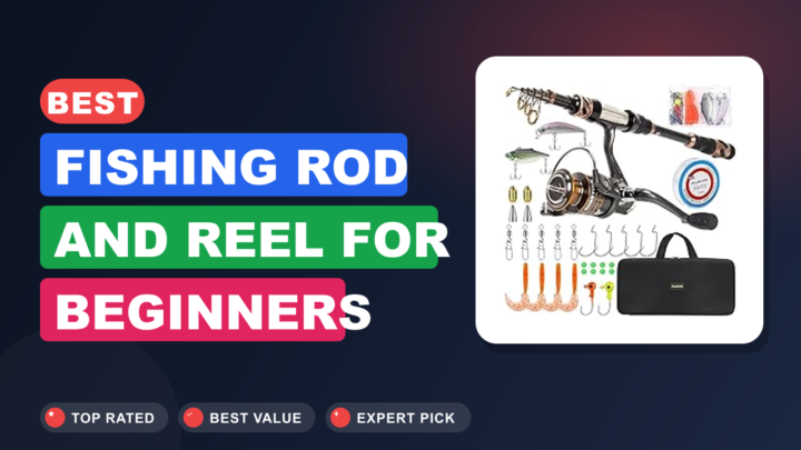 Best Fishing Rod and Reel for Beginners