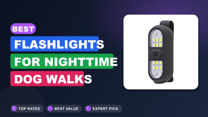 Best Flashlights for Nighttime Dog Walks