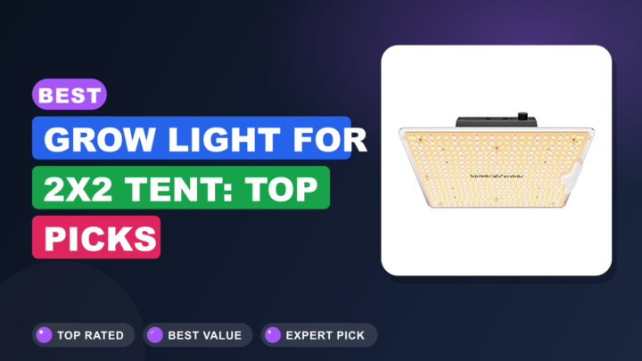 Best Grow Light for 2×2 Tent: Top Picks