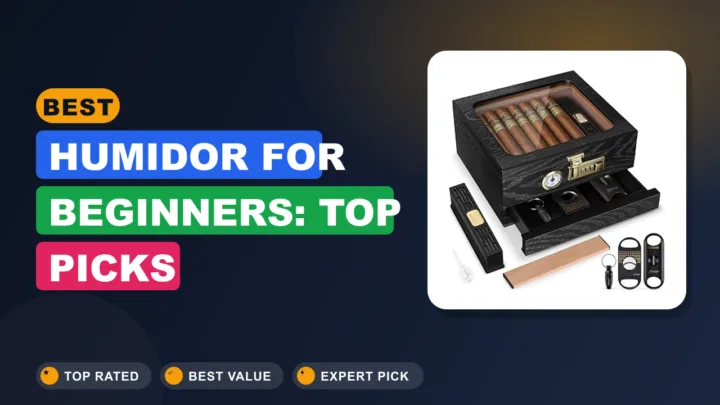 Best Humidor for Beginners: Top Picks