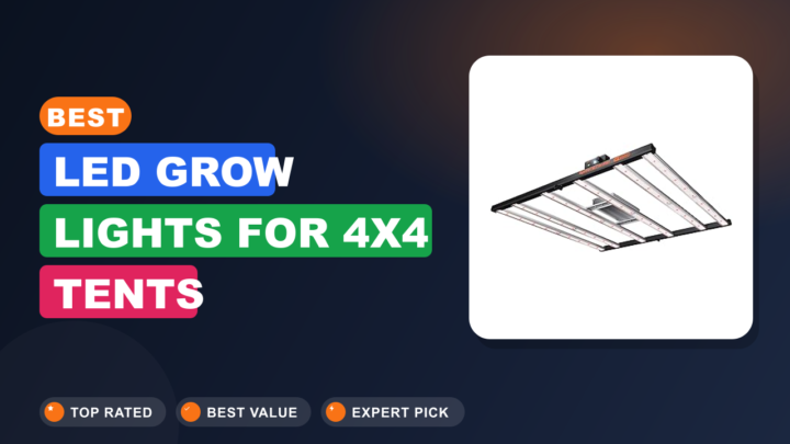 Best LED Grow Lights for 4×4 Tents