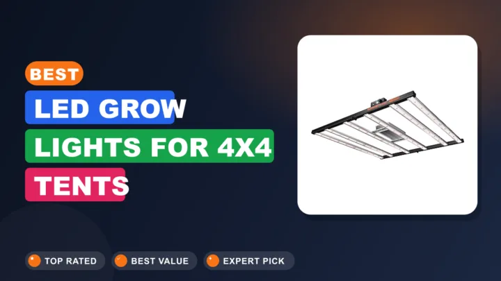 Best LED Grow Lights for 4×4 Tents