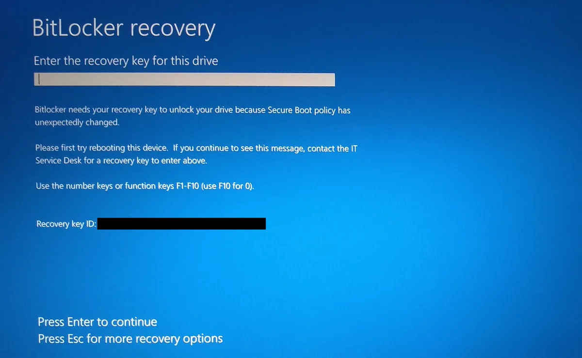 BitLocker recovery key 48 digit