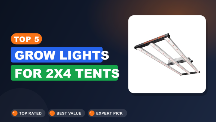 Top 5 Grow Lights for 2×4 Tents