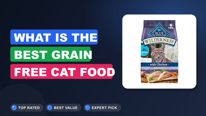What Is the Best Grain Free Cat Food
